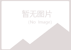 边坝县晓绿机械有限公司